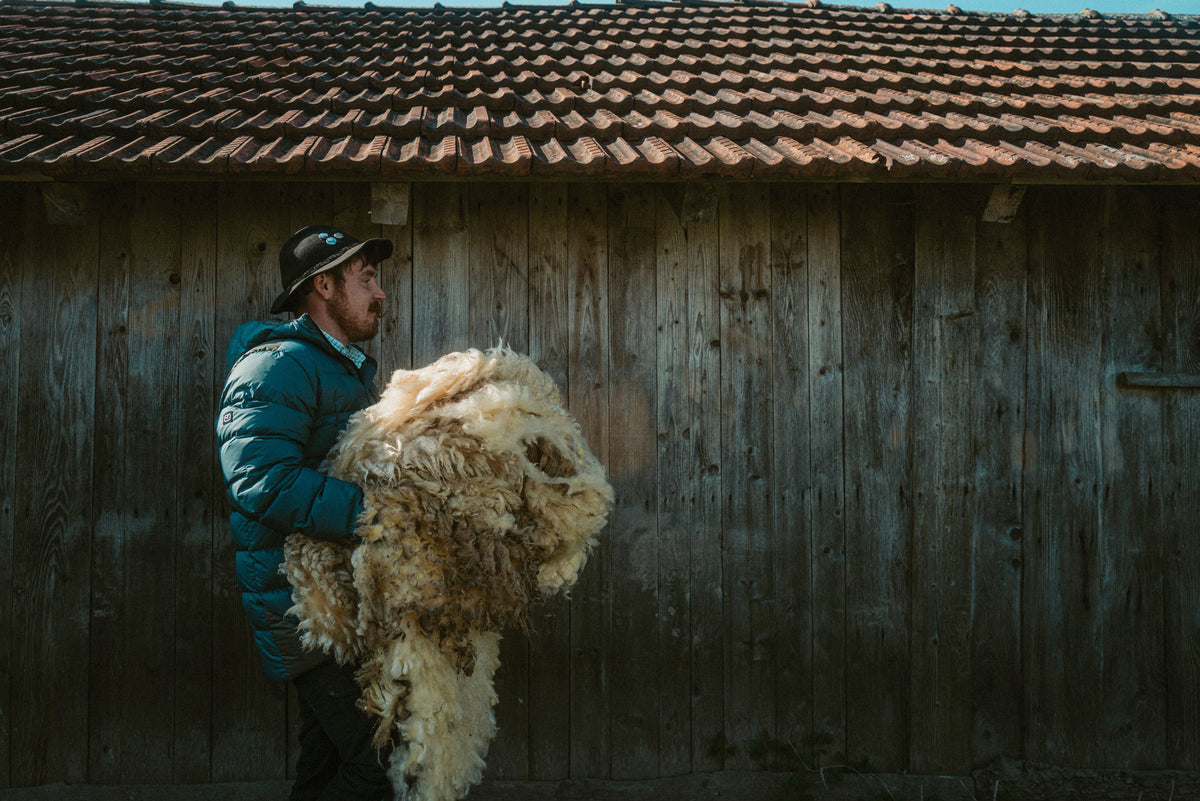 Ropa Merino Ortovox: Por Qué La Lana Natural Gana Al Polar