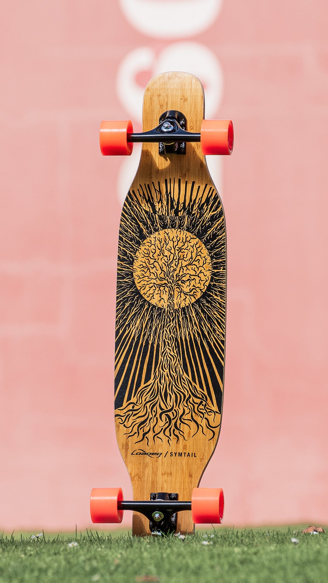 Loaded Boards: las tablas más valoradas para carving y dancing