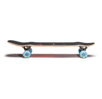 Coyote | Longboard Completo