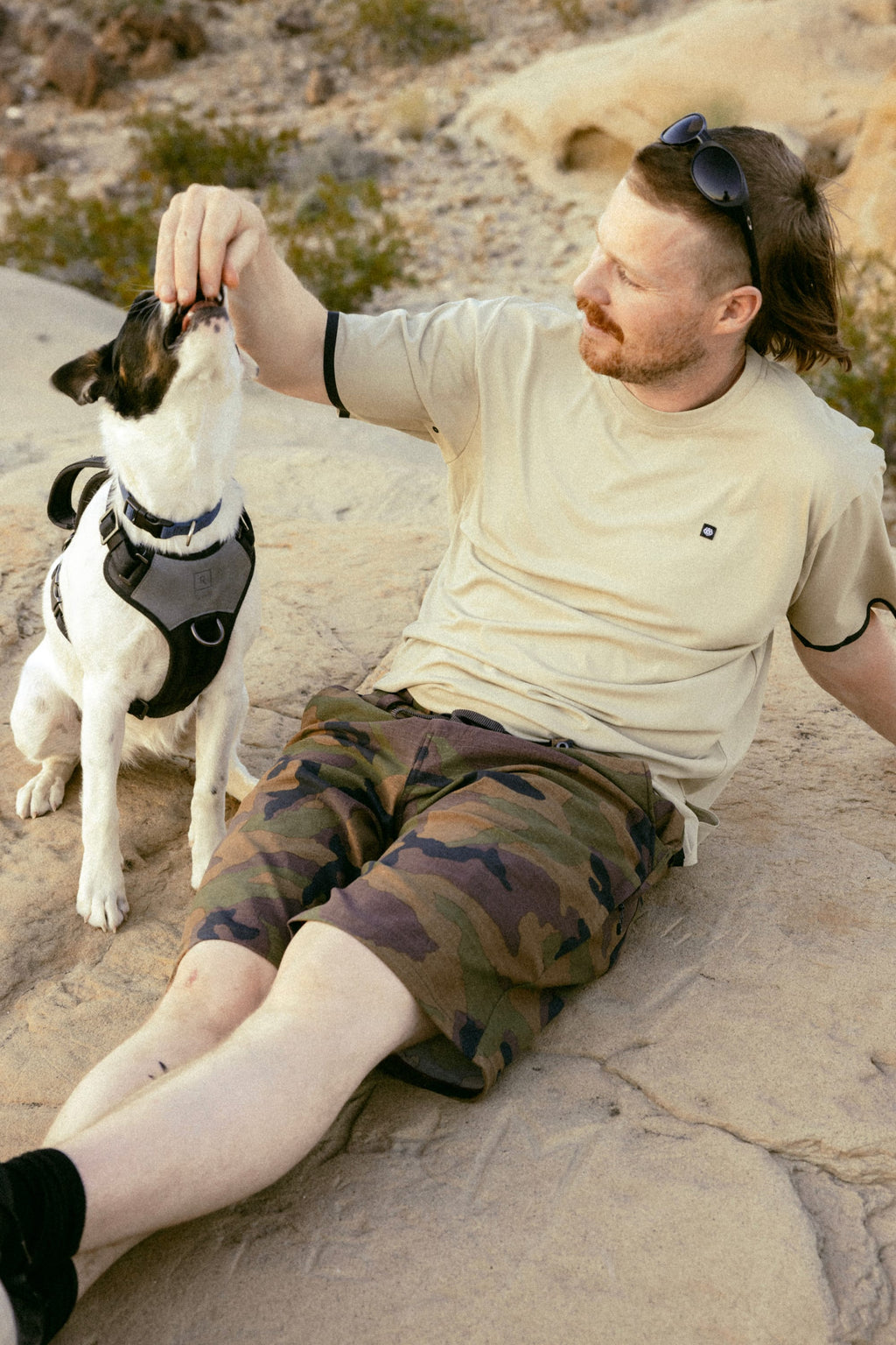 A man wearing sunglasses, a beige shirt, and 686 Men's Everywhere® Hybrid Short - Relaxed Fit sits on a rock feeding a black and white dog in a harness, with rocks and vegetation in the background.