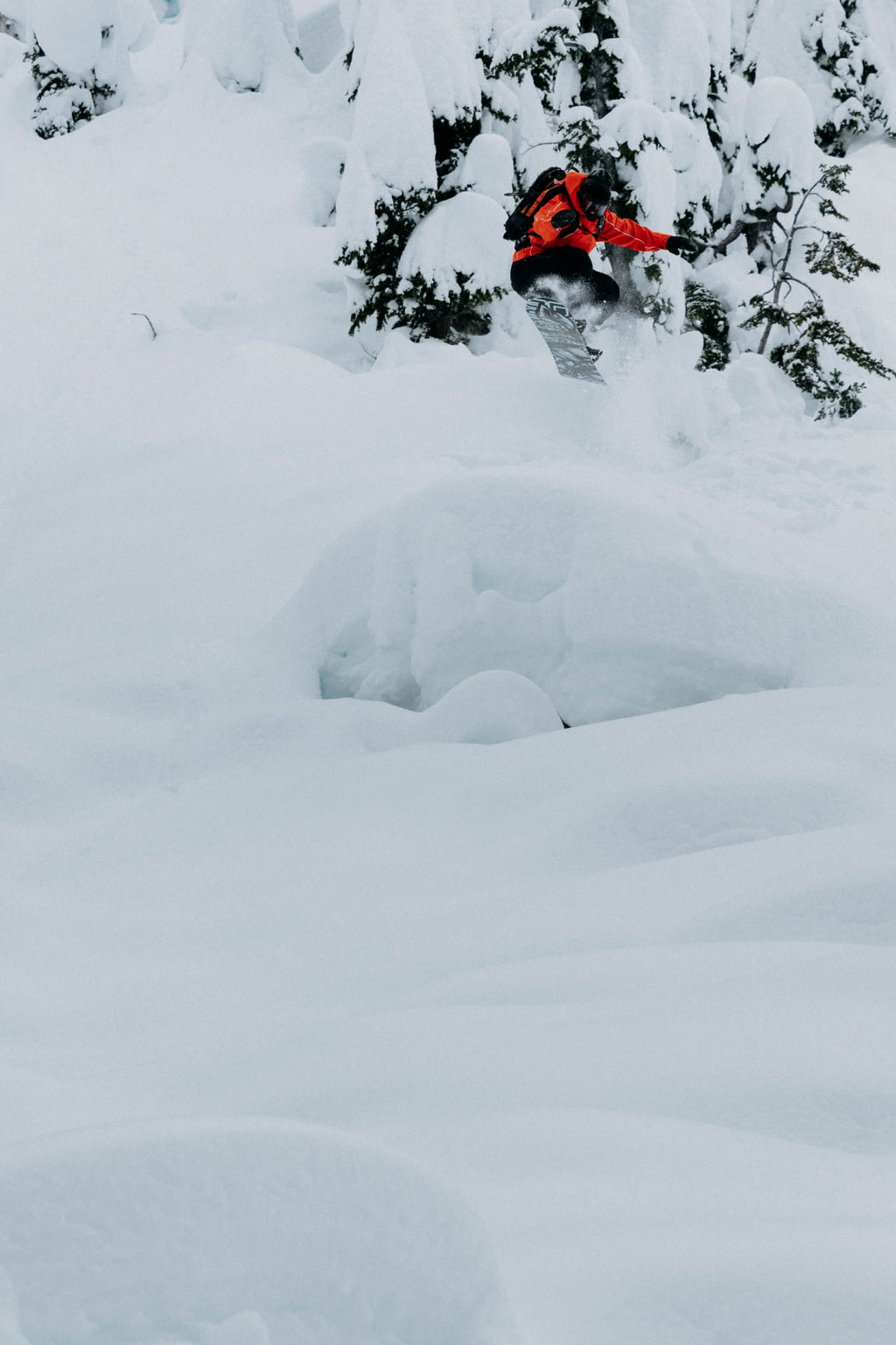 Wearing the 686 Women's Hologram™ Shell Jacket, a snowboarder rides down a snowy, tree-covered mountain slope, kicking up fresh powder and surrounded by deep, untouched snow.