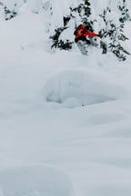 Wearing the 686 Women's Hologram™ Shell Jacket, a snowboarder rides down a snowy, tree-covered mountain slope, kicking up fresh powder and surrounded by deep, untouched snow.
