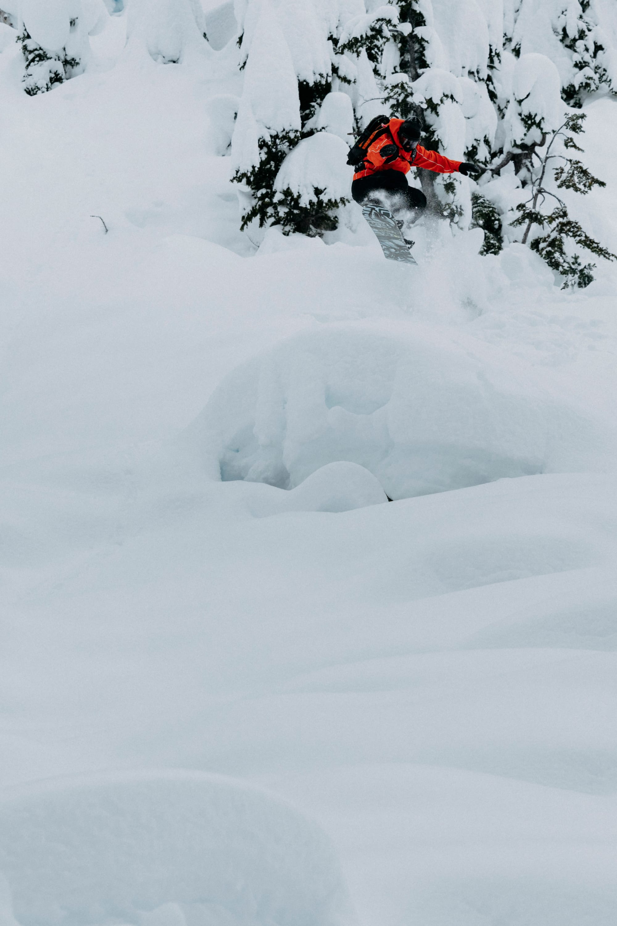 Wearing the 686 Women's Hologram™ Shell Jacket, a snowboarder rides down a snowy, tree-covered mountain slope, kicking up fresh powder and surrounded by deep, untouched snow.
