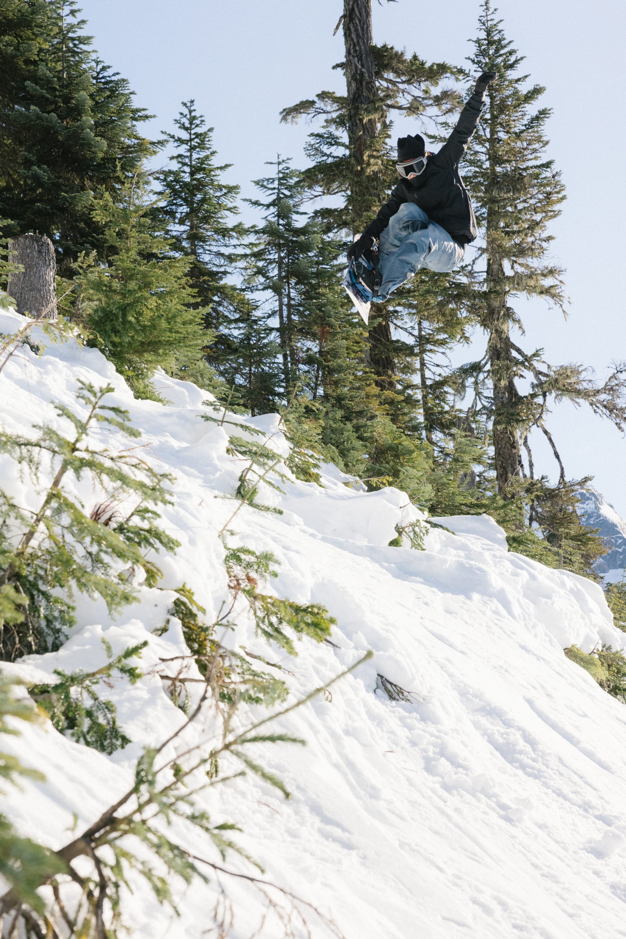 A snowboarder in the 686 Women's GORE-TEX Willow™ Insulated Jacket and goggles jumps off a snowy slope, surrounded by evergreens under a clear sky.