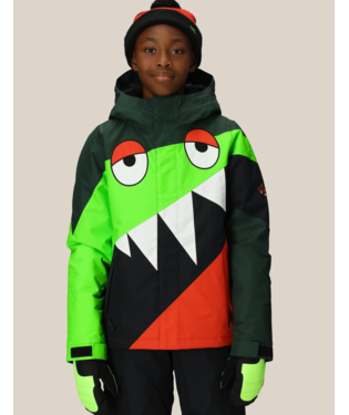 BOYS SNAGGLETOOTH OWEN INSULATED JACKET - BOREALIS GREEN COLORBLOCK