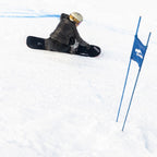 Lib Tech Snowboard Dinamiss