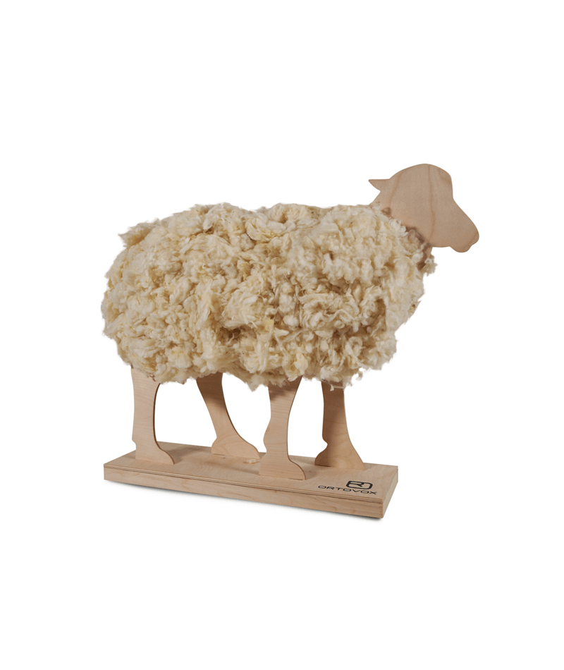 "OVX SHEEP" - "diverse Farben"