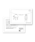 "WOOL WASH CARD" - "diverse Farben"