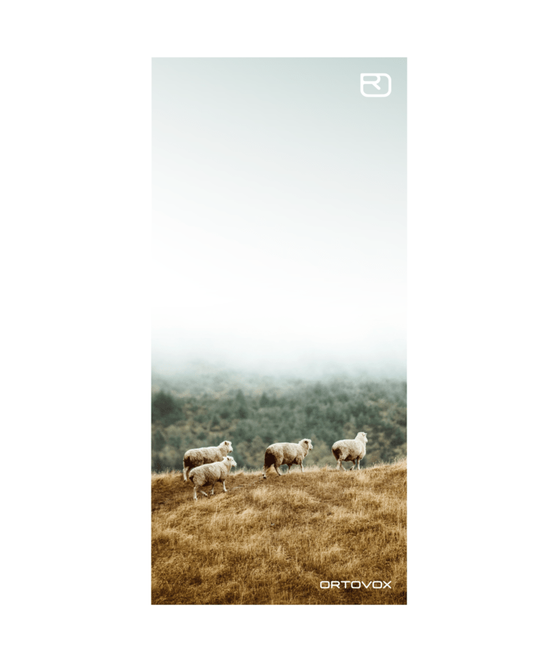 "BANNER WOOL" - "diverse Farben"