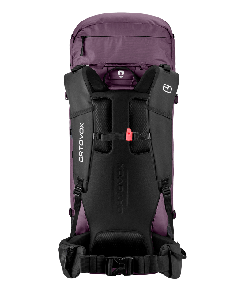 "PEAK LIGHT 30 S" - "wild berry"