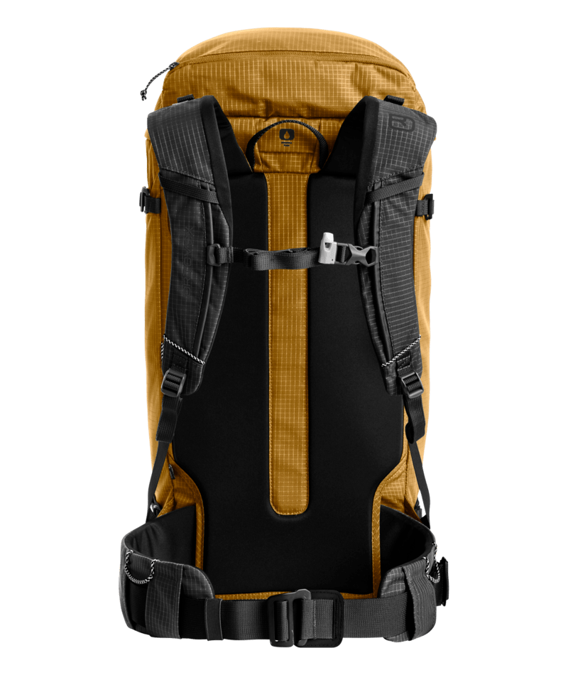 "TRAD 35" - "wild cumin"